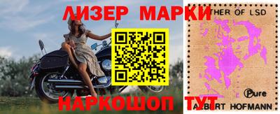 spice Новозыбков
