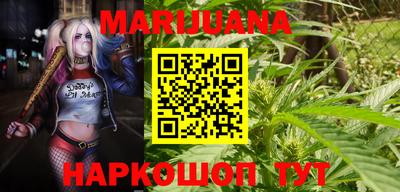 индика Новокубанск