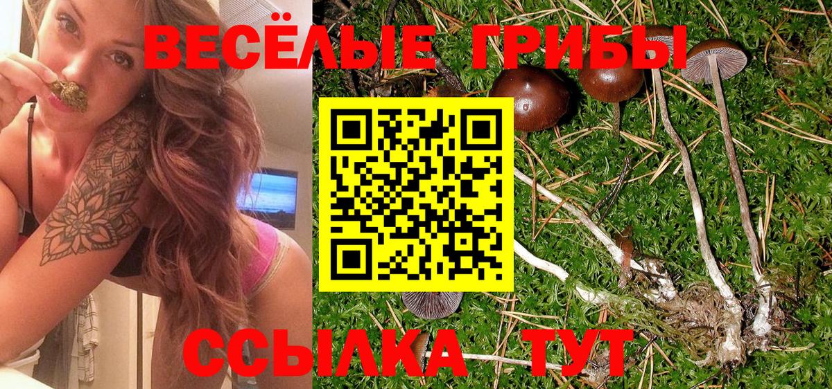 Таганрог  Галлюциногенные грибы GOLDEN TEACHER  где купить   Вход с VPN 